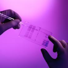 Excelitas拥有所有光子学学科在DNA测序的专业知识