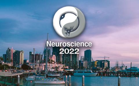 神经科学2022
