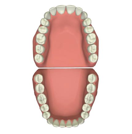 Excelitas擅长提供一系列光学技术的3D牙科测绘解决方案