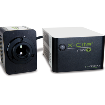X-Cite迷你+