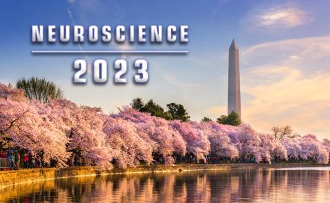 神经科学2023