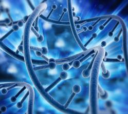 光学与检测技术，在生物光学领域的卓越研究